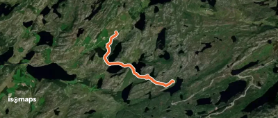 Låglia