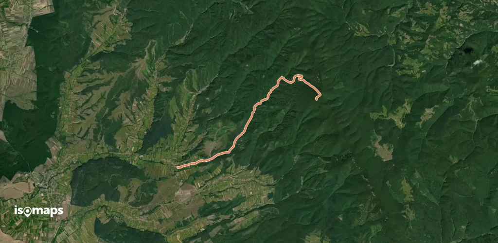 Hășmaș – Valea Hășmaș – Vf. Pleșu