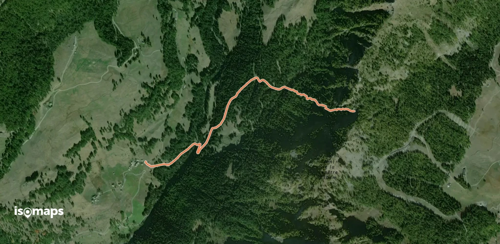 OSM Route 14649345