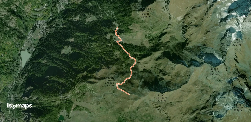 OSM Route 14662319