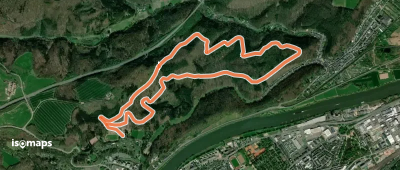W2 Weisshauswald