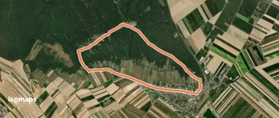 Rundwanderweg Königswarte-Hindlerberg