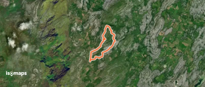 Carran Loop