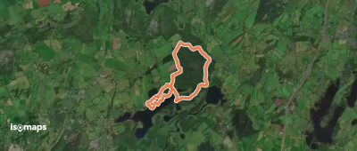 Dromore Wood Loop