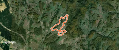 Schwarzstorchweg
