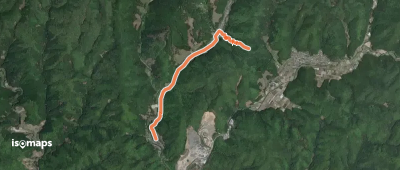 京都一周トレイル北山コース 40:46
