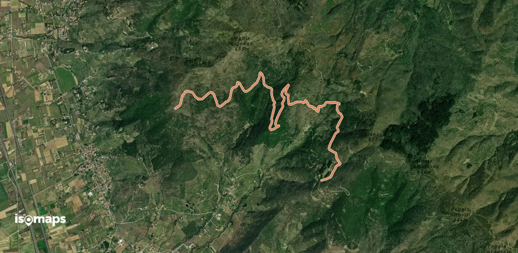 OSM Route 14942071