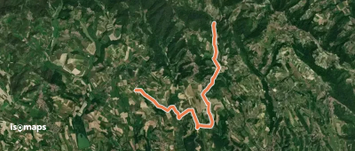 OSM Route 14995479