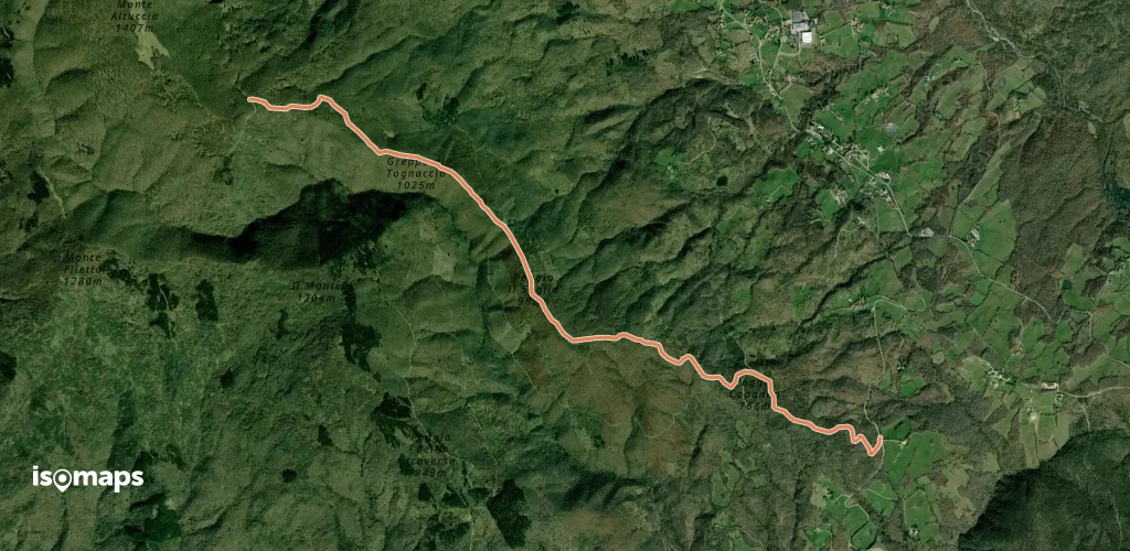 OSM Route 15002288