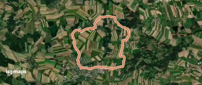 Teichweg Vitis