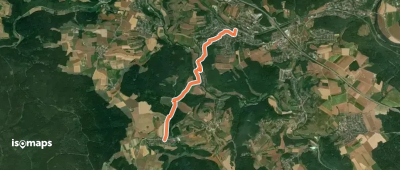 W 40 Undorf - Haugenried (Rotes Dreieck)