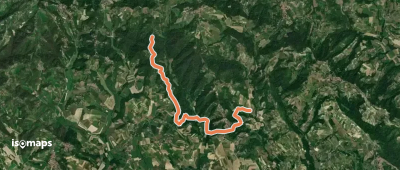 OSM Route 15029716