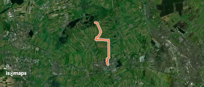 Groene Hartpad - 11 Broedseizoen