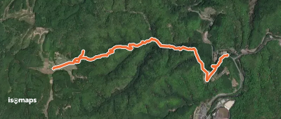 京都一周トレイル北山コース 56:65