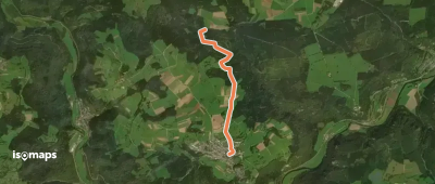 gelbe Raute Irndorf
