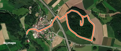 Neumarkter Burgensteig-Runde Helfenburg (2)