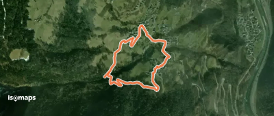 La Puceronne