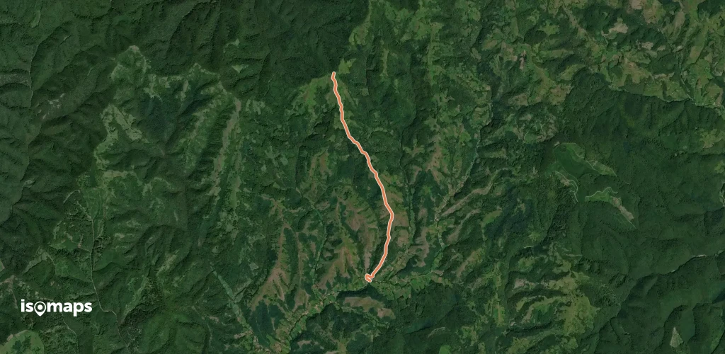 Roșia Nouă - Creasta Principală a Munților Zarand - Vârful Tufari
