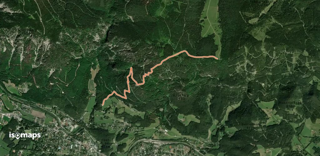 Schneedörfl - Waldburgangerhütte