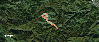 OSM Route 15428595