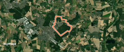 Herzebrocker Klosterwälder