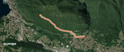 204 3V variante