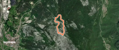 Orme dei Dinosauri