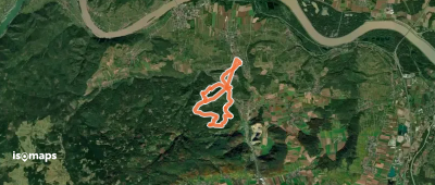 Waxenberg - Mammutbäume (F2)