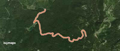 Placid Lake Trail #29