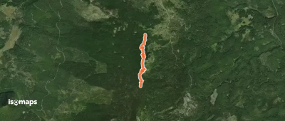 Sawtooth Mountain Trail #107