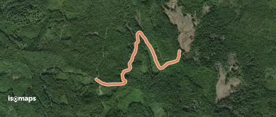Valley Ski Trail #151