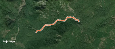Falls Creek Falls Trail #152A