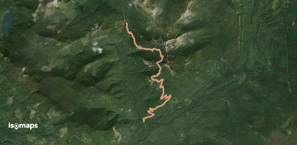 Hamilton Buttes Trail #118