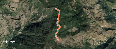 Dijuli Bugyal