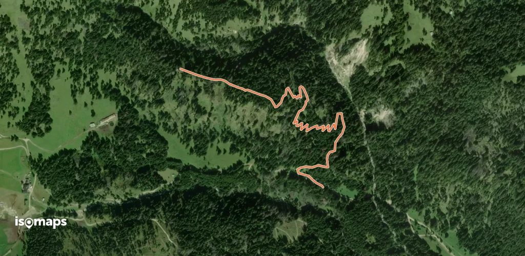Sentiero Forestale Toalet