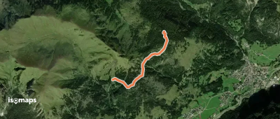 Sentiero Forestale Prà Molin