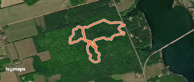 Kildare Forest Natural Area
