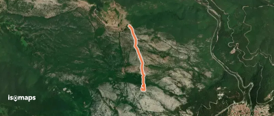 Avgo Pineas Makario Trail