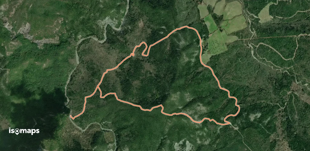 Il torrente Trossa e il puntone di Farneta