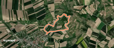 Köhlberg-Erlebnis-Rundwanderweg