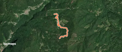 OSM Route 15923894