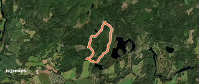 Skedala grå slinga