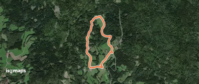 Wildwanderweg