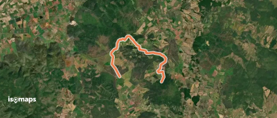 OSM Route 15981646