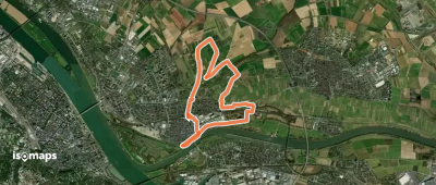 Riesling Schleife Löss und Lehm