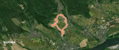 Riesling Schleife Rauenthaler Baiken