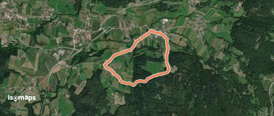 Birkenödweg