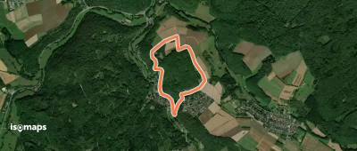 Kransberg - Rundwanderweg blau