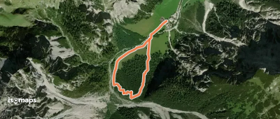 Lärchenwald Rundweg
