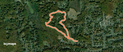 Purple Trail
